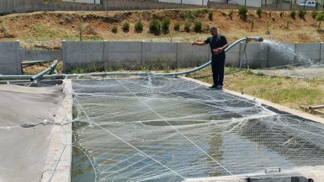 Elazığ’da Su Ürünleri Üretimi Sürüyor