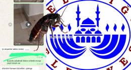 Belediyenin ilacı böcek öldürmüyormuş(!)