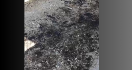 Baskil’de elektrik telleri yangına neden oldu
