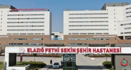 Sağlıkçılara yönelik seminer düzenlendi