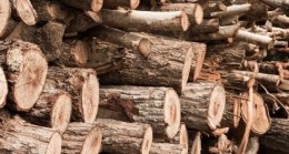 KIŞ GELDİ, ISINMA LÜKS OLDU: ELAZIĞ’DA ODUN VE KÖMÜRE YÜZDE 25 ZAM