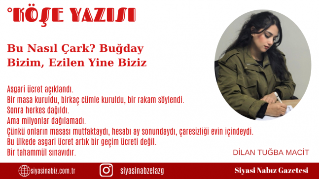 Bu Nasıl Çark? Buğday Bizim, Ezilen Yine Biziz