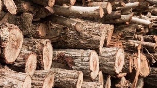 KIŞ GELDİ, ISINMA LÜKS OLDU: ELAZIĞ’DA ODUN VE KÖMÜRE YÜZDE 25 ZAM