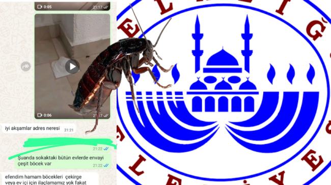 Belediyenin ilacı böcek öldürmüyormuş(!)