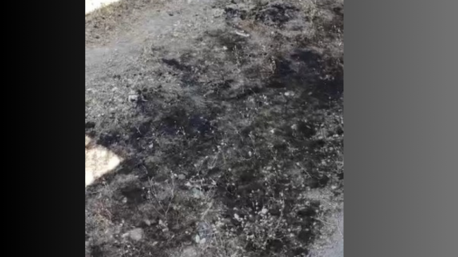 Baskil’de elektrik telleri yangına neden oldu