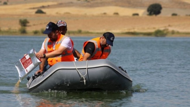 Elazığ Belediyesi, Cip Baraj Gölü’nde Biyolojik Larvasit Çalışması Yaptı