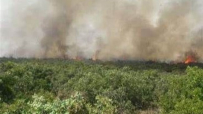 Elazığ’daki Orman Yangını Kontrol Altına Alındı