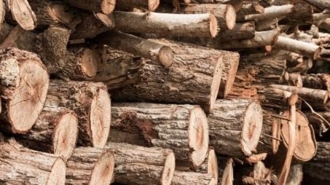 KIŞ GELDİ, ISINMA LÜKS OLDU: ELAZIĞ’DA ODUN VE KÖMÜRE YÜZDE 25 ZAM