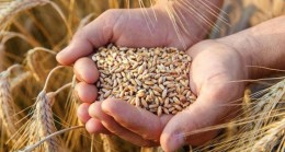 Elazığ’da Hububat Alımları Randevu Sistemine Geçiyor!