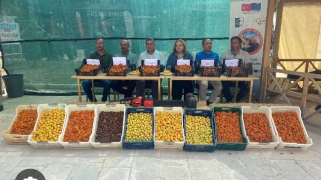 Baskil Kayısı Festivali ve Fuarı Devam Ediyor