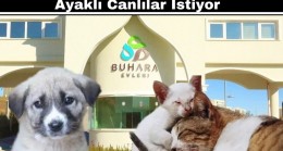 Menzilciler Köylerinde Sadece İki Ayaklı Canlılar İstiyor